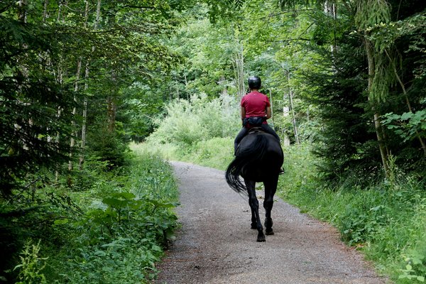 Est-il possible de trouver une location de vacances en Bretagne avec des cours de cuisine bretonne et des balades à cheval?